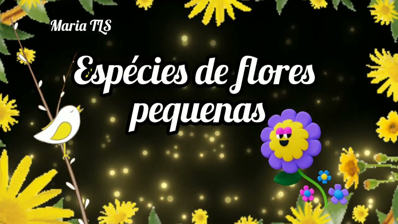 Espécies de flores pequenas para alegrar o jardim da sua casa! 🌸🌼🌺 #mariatls #flores #jardim